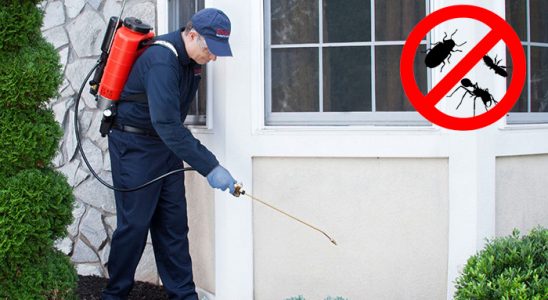 Mavişehir Gümüşkurt İlaçlama böcek ilaçlama ve haşere kontrolü — ilaclama-tr.com